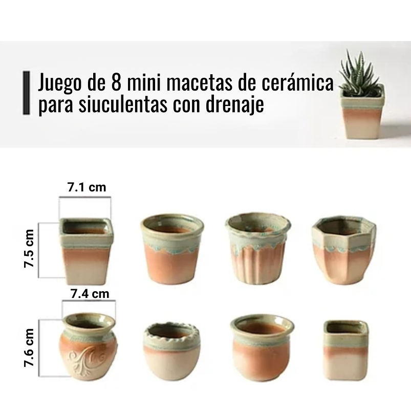Juego Macetas Cerámica x8 Unid Plantas Cactus y Suculentas 3