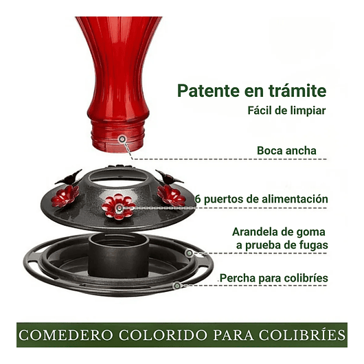 Bebedero De Colibríes Aves Colgante 24 Oz Botella en Vidrio Vintage 3