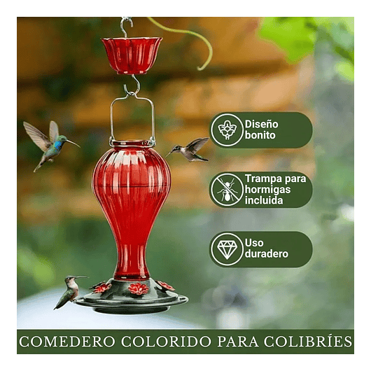 Bebedero De Colibríes Aves Colgante 24 Oz Botella en Vidrio Vintage 5
