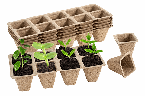 Maceta Papel Organico Biodegradable x5 Piezas x10 celdas Rectagular