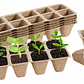 Maceta Papel Organico Biodegradable x5 Piezas x10 celdas Rectagular - Miniatura 1