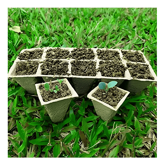 Maceta Papel Organico Biodegradable x5 Piezas x10 celdas Rectagular 3