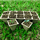 Maceta Papel Organico Biodegradable x5 Piezas x10 celdas Rectagular - Miniatura 3