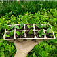 Maceta Papel Organico Biodegradable x5 Piezas x10 celdas Rectagular - Miniatura 4