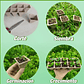 Maceta Papel Organico Biodegradable x5 Piezas x10 celdas Rectagular - Miniatura 5