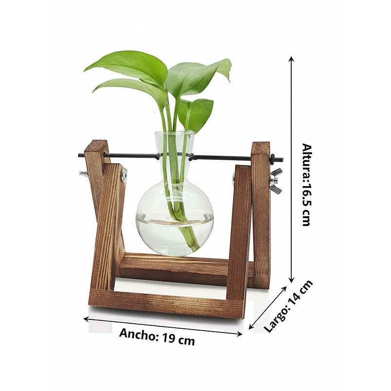 Maceta De Plantas Diseño Vintage Con Bombilla Cristal x1 Unidad 2