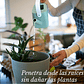 Regadera Plástica Plantas 1.7 Litros Salida Larga Extraíble - Miniatura 4