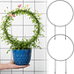 Enrejado Circular Decorativo x2 Und Para Plantas Trepadoras - Miniatura 1