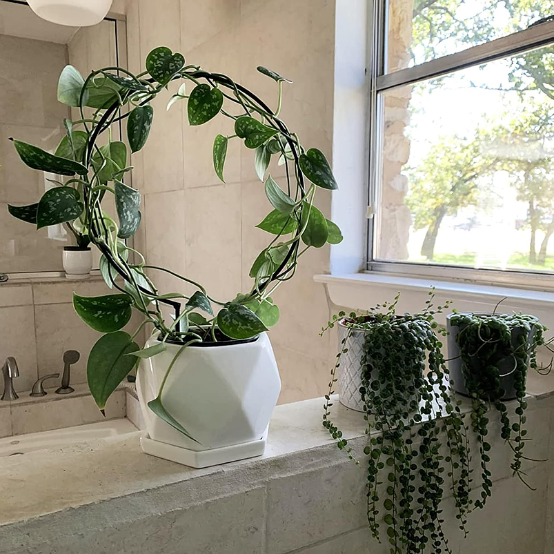 Enrejado Circular Decorativo x2 Und Para Plantas Trepadoras 6