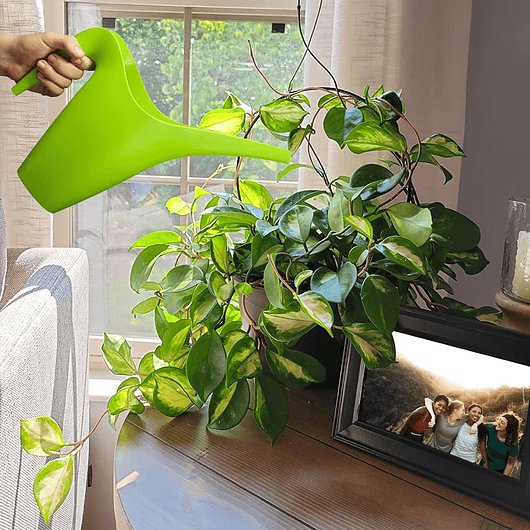 Enrejado Circular Decorativo x2 Und Para Plantas Trepadoras 7