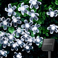 Luces Led Energia Solar Decorativas de Jardin Flores de Cerezo x60 Led - Miniatura 3