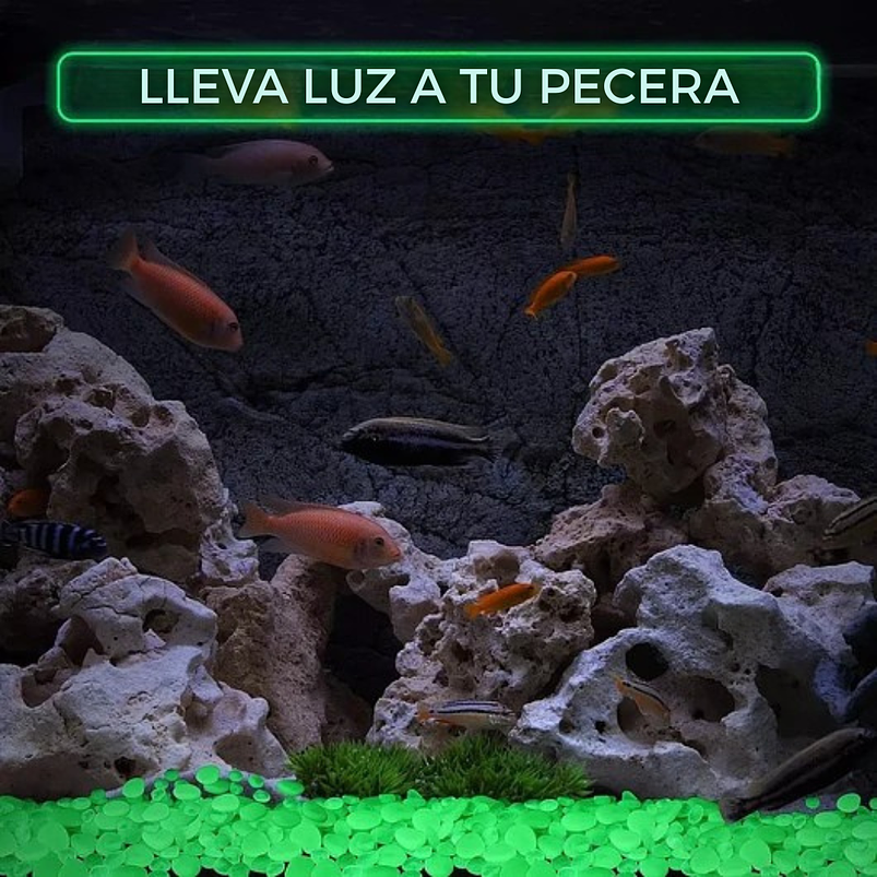 Piedras Luminosas Decoración Jardín x100 Piezas Brillan Oscuridad 11