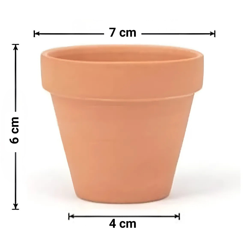 Maceta Suculenta Cactus Arcilla x10 Unidades - 7cm diametro x 6cm alto 5