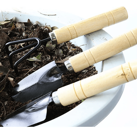 Juego Herramientas x3 Piezas Jardín Cuidado Suculenta Madera