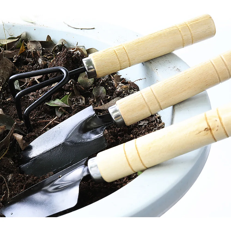 Juego Herramientas x3 Piezas Jardín Cuidado Suculenta Madera 2