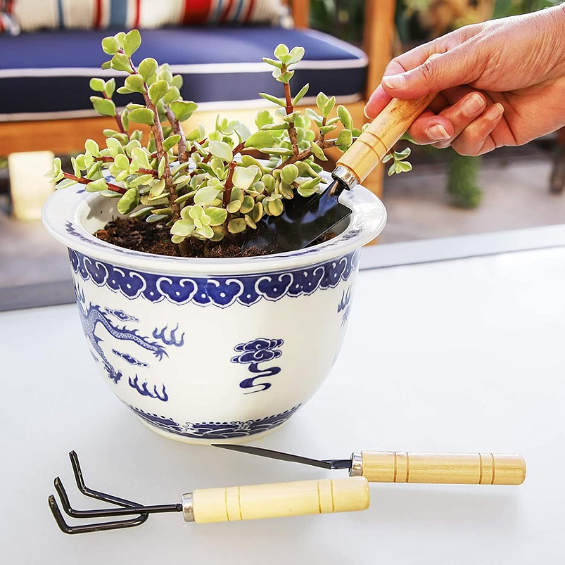 Juego Herramientas x3 Piezas Jardín Cuidado Suculenta Madera 6