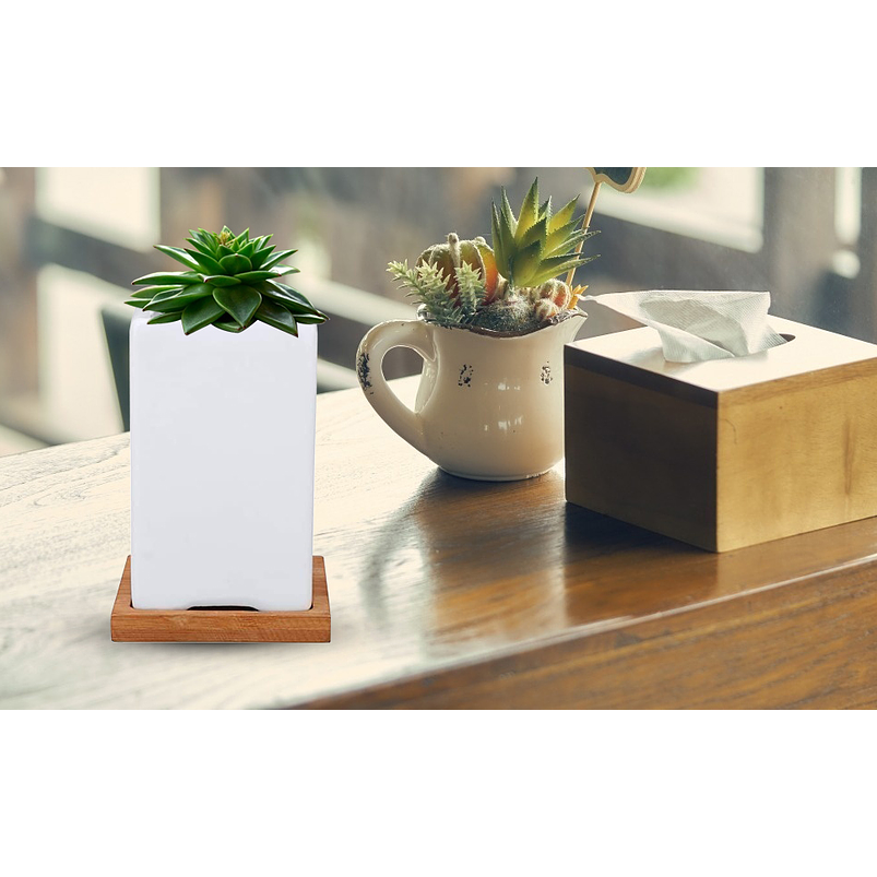 Juego De Macetas Cerámica Fina x8 Unidades Más platillo Bambú  7