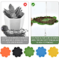 Kit Herramientas Esencial de Siembra Para Cactus y Suculenta - Miniatura 5