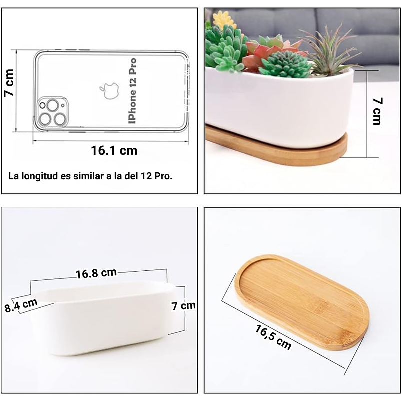 Maceta Cerámica Ovalada Premium Suculentas Más plato Bambú 3