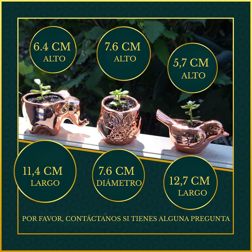 Juego Macetas Premium x3 Unidades Cerámica Oro Rosa Suculentas 3