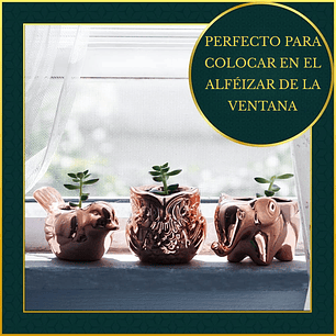 Juego Macetas Premium x3 Unidades Cerámica Oro Rosa Suculentas