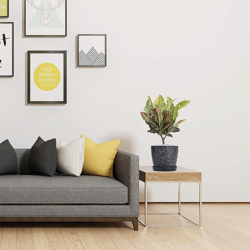 Juego Maceta Decorativa x6 Unidades Tamaño Escala Más plato Moteada 13