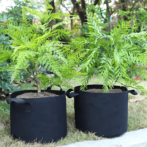 Maceta Siembra Plantas Tela Especial x3 Galones 25cm Diámetro