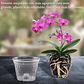 Maceta Siembra Orquídeas Plástica x10 Unidades 14cm Diámetro x10 Alto - Miniatura 2
