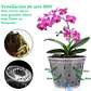 Maceta Siembra Orquídeas Plástica x10 Unidades 14cm Diámetro x10 Alto - Miniatura 6