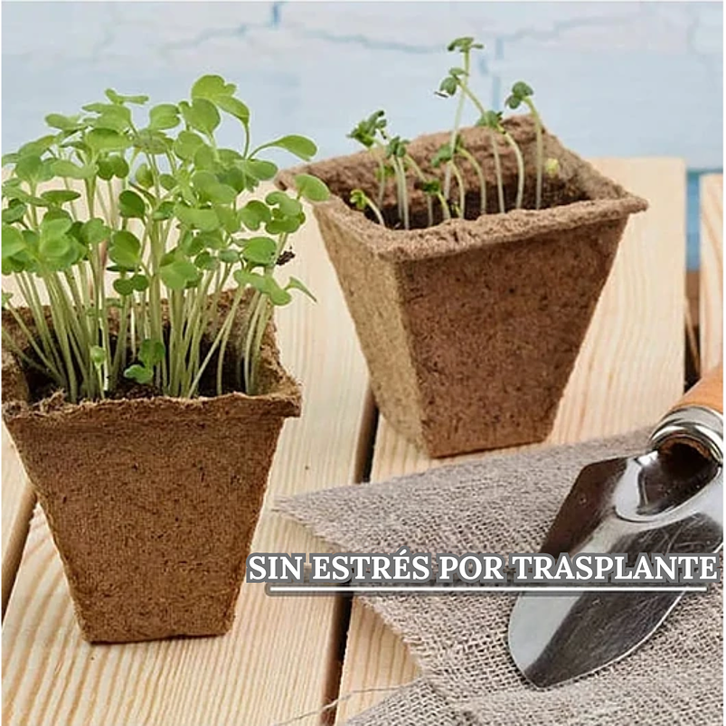 Maceta Papel Orgánico Biodegradable x5 Piezas x12 celdas Rectas Marrón claro 2