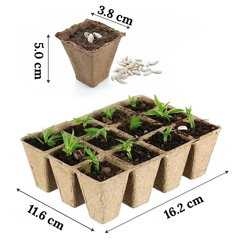 Maceta Papel Orgánico Biodegradable x5 Piezas x12 celdas Rectas Marrón claro 3