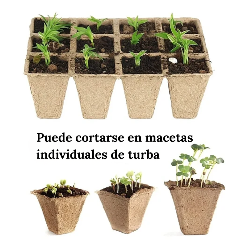 Maceta Papel Orgánico Biodegradable x5 Piezas x12 celdas Rectas Marrón claro 4