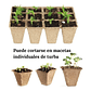 Maceta Papel Orgánico Biodegradable x5 Piezas x12 celdas Rectas Marrón claro - Miniatura 4