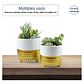 Juego Macetas Cerámica x2 Unidades Premium 12cm Diámetro x15cm Alto - Miniatura 2