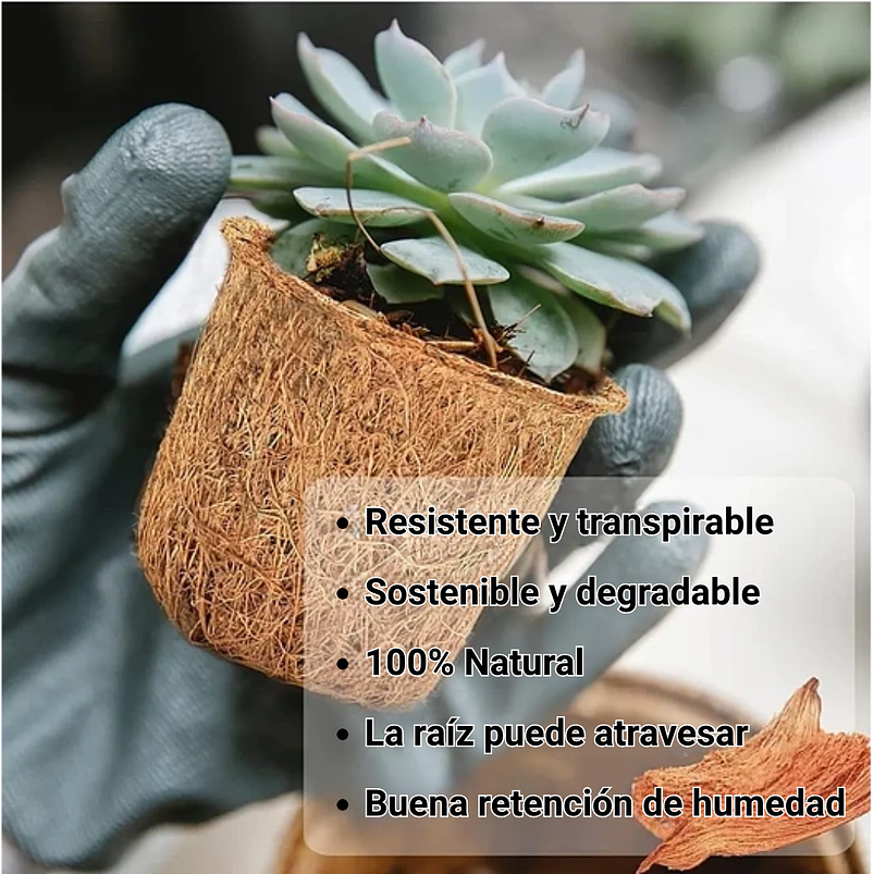 Macetas de Siembra en Fibra De Coco x5 Unidades 100% Natural Medidas: 6.6cm Diámetro x 5.6cm Alto 4