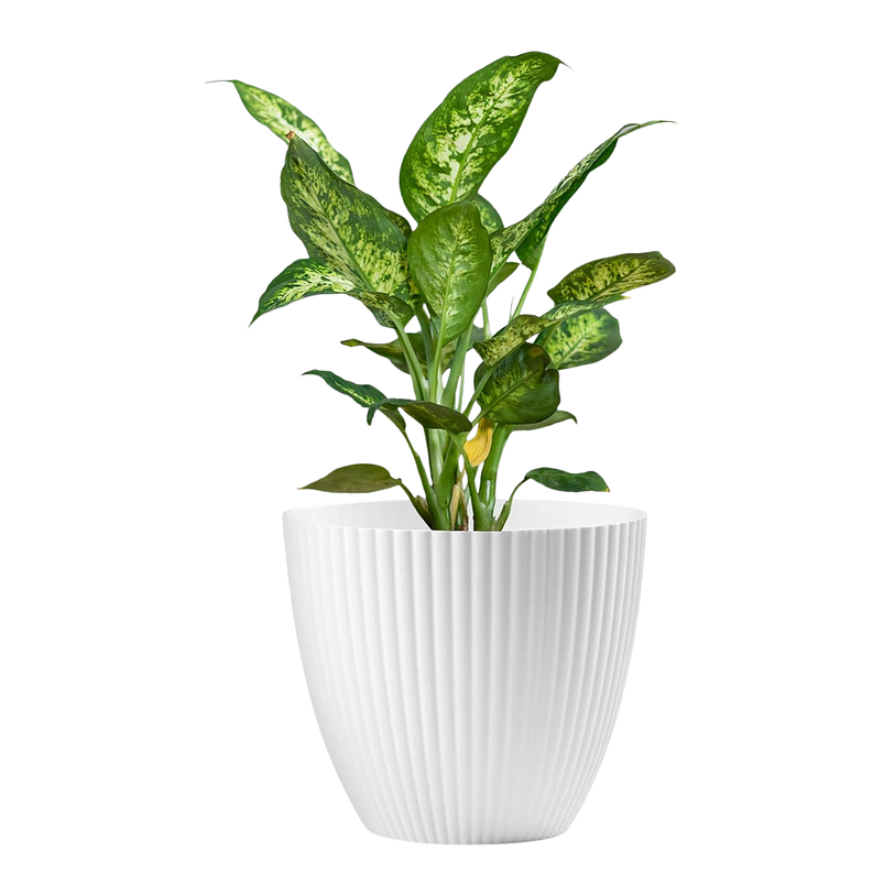 Maceta Plástica Plantas Diseño Ranurado 15.7cm Diámetro x13.7cm 1