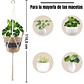 3 Macetas Fibra Natural Más Macramé Colgar Multitamaño - Miniatura 2