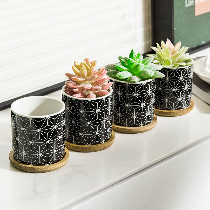 Juego Macetas Cerámica Fina x4 Unidades Más plato Bambú Suculentas 2