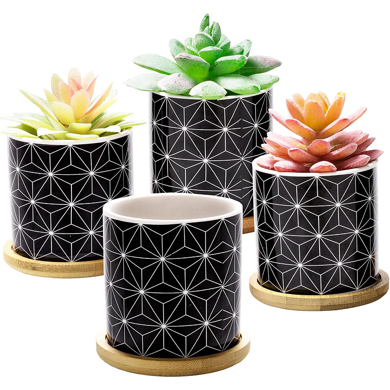 Juego Macetas Cerámica Fina x4 Unidades Más plato Bambú Suculentas 4