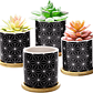 Juego Macetas Cerámica Fina x4 Unidades Más plato Bambú Suculentas - Miniatura 4