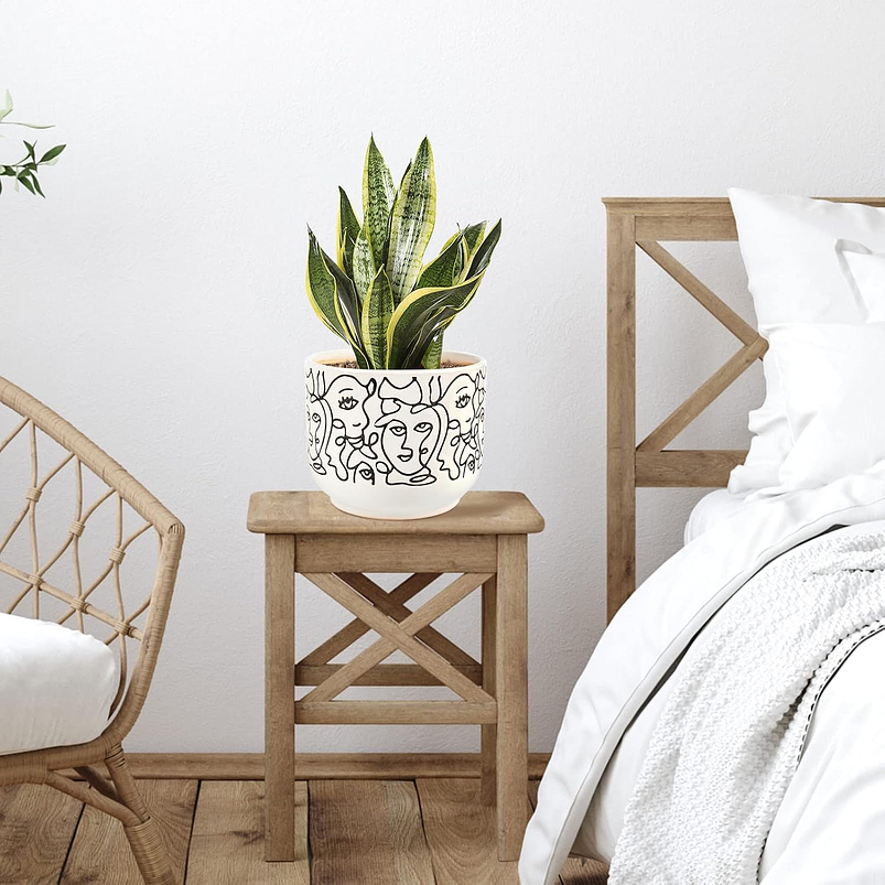 Juego De Macetas En Cerámica Marcadas x2 Unidades  7