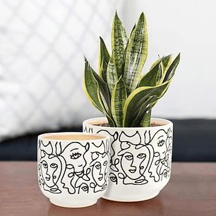 Juego De Macetas En Cerámica Marcadas x2 Unidades 