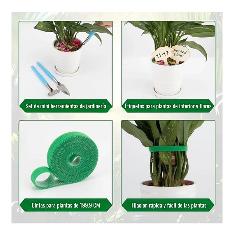 Kit Soporte Plantas Fibra De Coco x4 unidades Más Herramientas Siembra 5