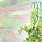 Kit De Soporte De Macetas Plástico De Plantas Trepadoras - Miniatura 7