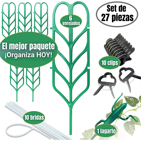 Kit De Soporte De Macetas Plástico De Plantas Trepadoras