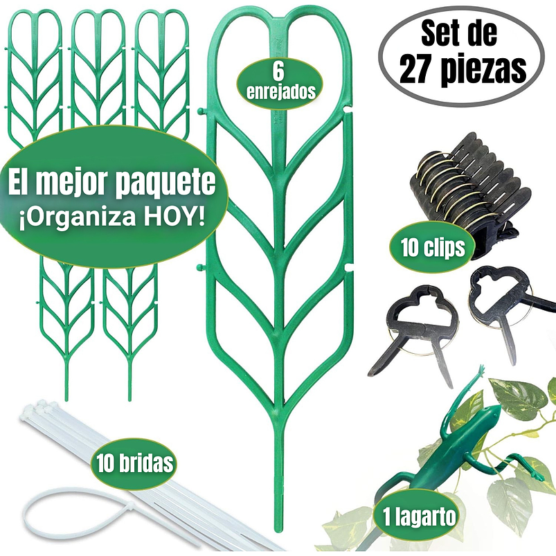 Kit De Soporte De Macetas Plástico De Plantas Trepadoras 2