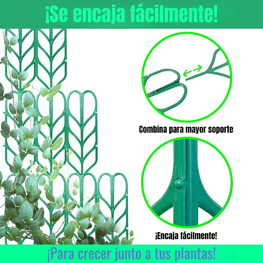 Kit De Soporte De Macetas Plástico De Plantas Trepadoras 6