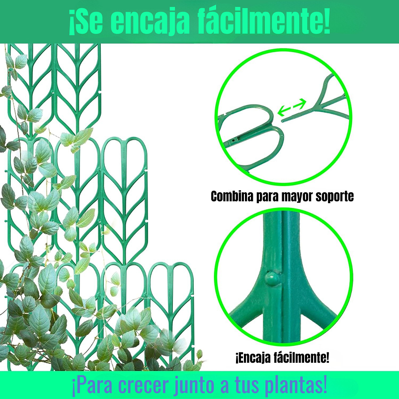 Kit De Soporte De Macetas Plástico De Plantas Trepadoras 6