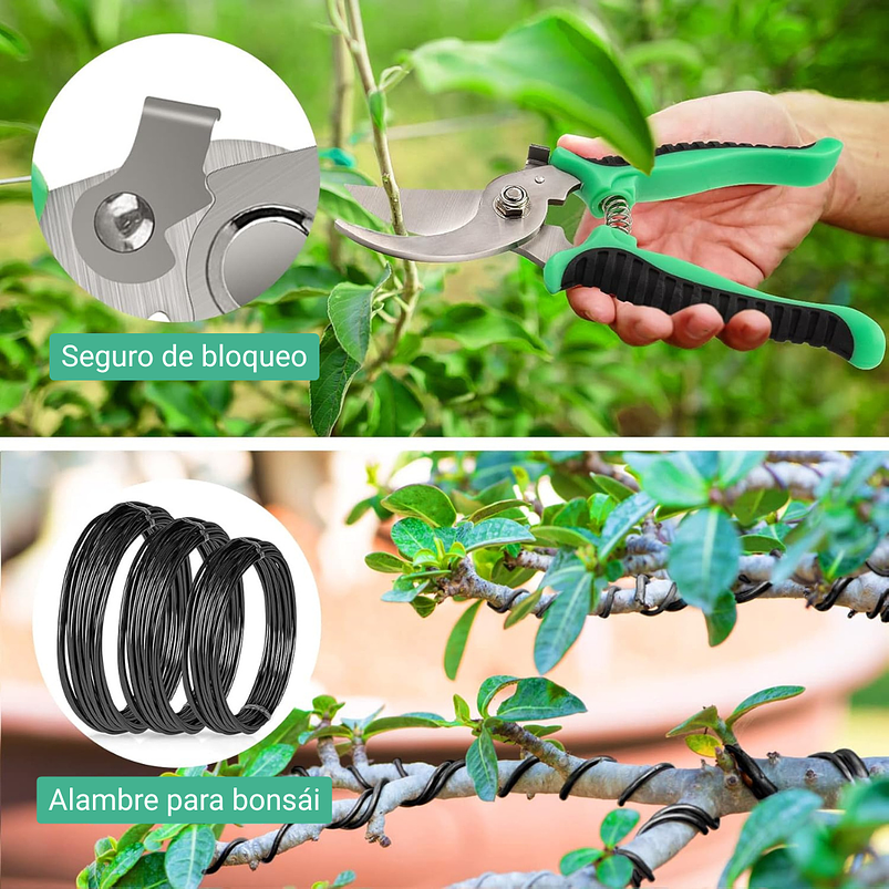 Kit Herramientas Cuidado Bonsái Planta Básico 12 piezas Más estuche 3