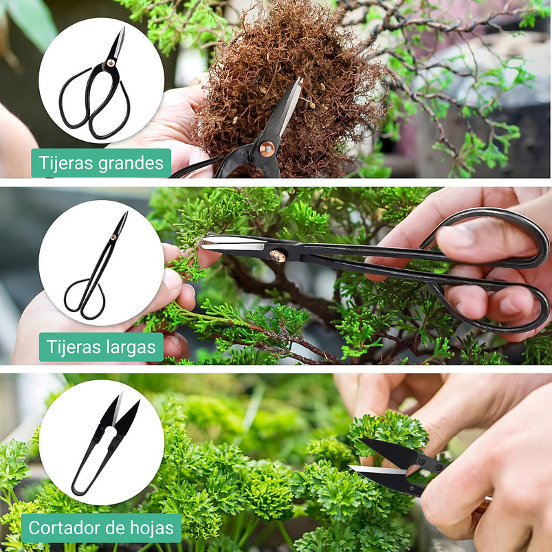 Kit Herramientas Cuidado Bonsái Planta Básico 12 piezas Más estuche 4